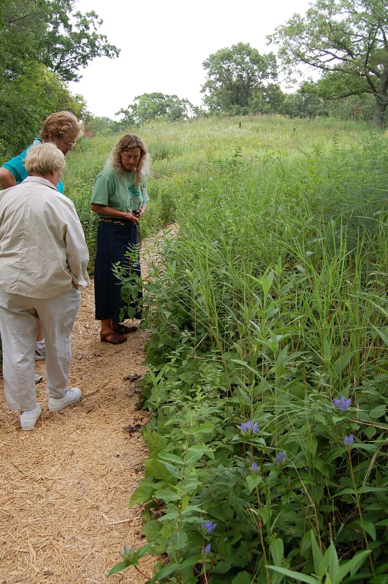 America's Green Carpet Problem: The Climate Toll of Turf Grass and the Native Plants That Can Replace It