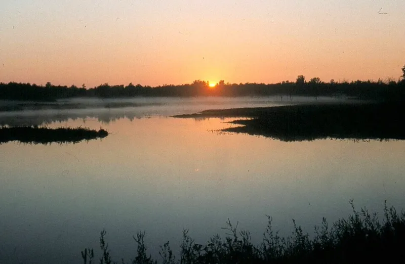 Standing Water, Stored Carbon: The Case for Treating America's Wetlands as Climate Infrastructure