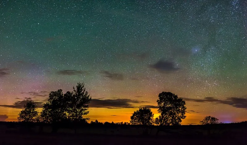 When the Night Goes Dark No More: How Artificial Light Is Unraveling Wildlife's Internal Clocks