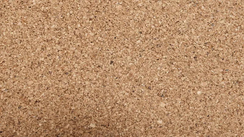 The Walls That Work Back: Inside the Science of Carbon-Sequestering Insulation Materials