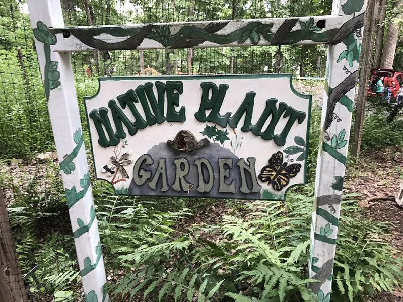 From Monoculture to Mosaic: The Suburban Rewilding Movement Quietly Transforming American Neighborhoods